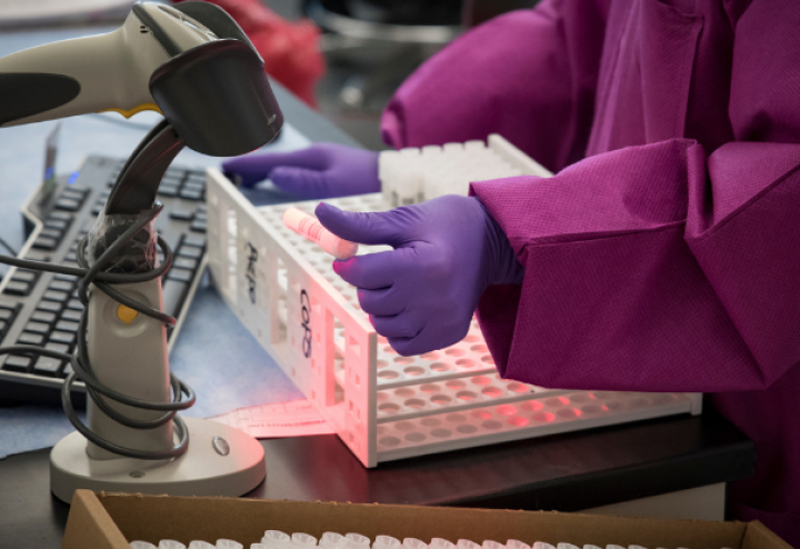 Lab technician works on samples