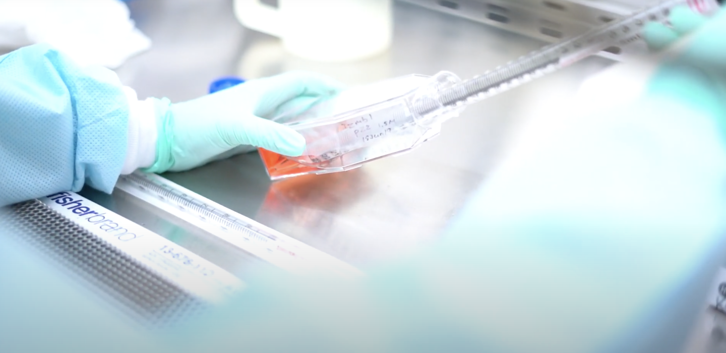 Close-up of pipetten at a lab bench